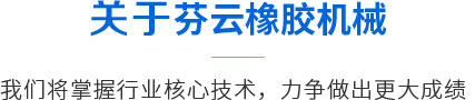 青岛凯发k8一触即发橡胶机械